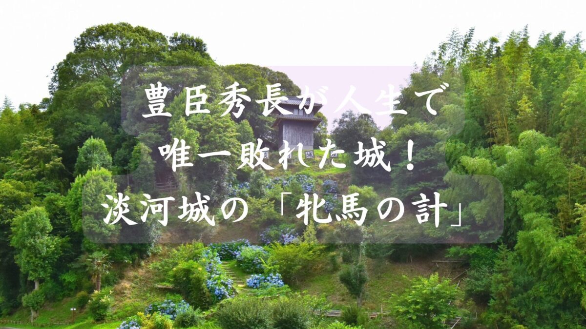 豊臣秀長が人生で唯一敗れた城！淡河城の「牝馬の計」