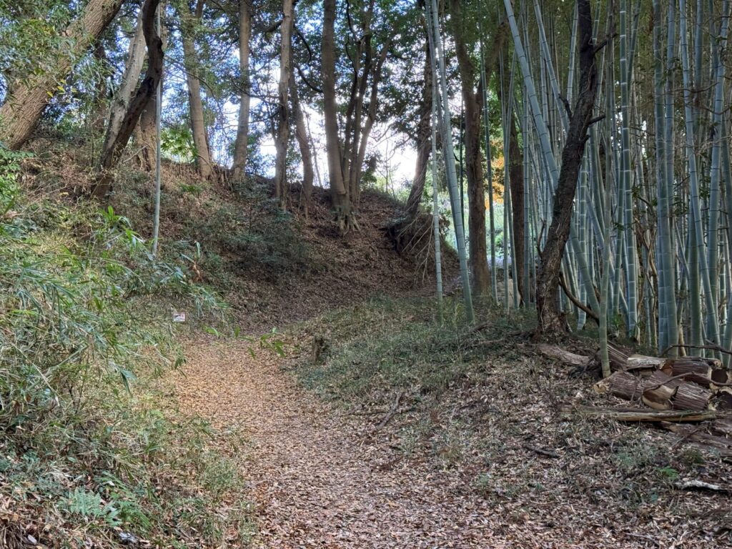 城山通路