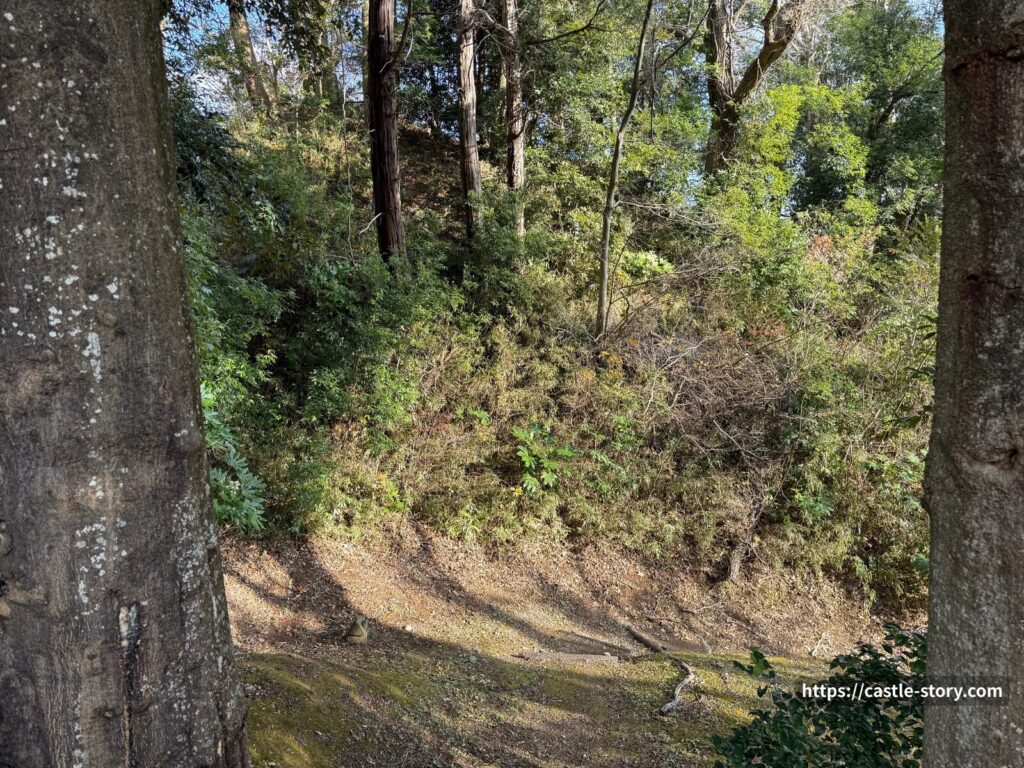 駐車場から見た本丸址の土塁