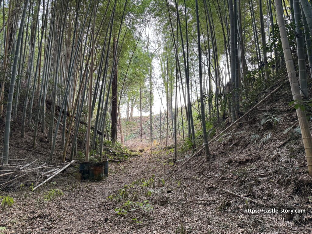 セッテイの空堀3