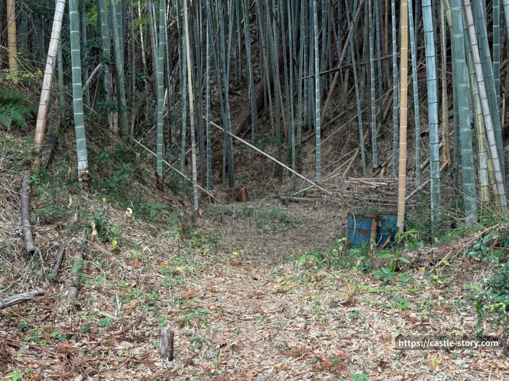 セッテイの空堀2