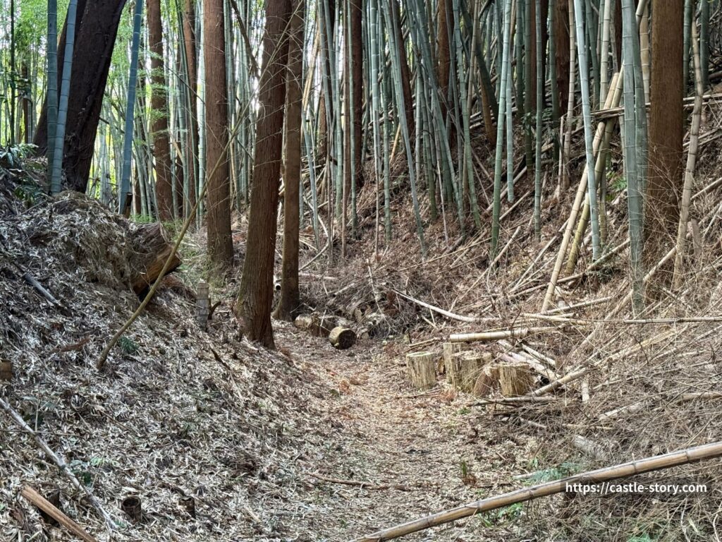 セッテイの空堀4