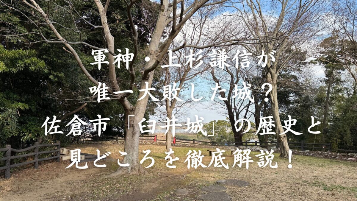 軍神・上杉謙信が唯一大敗した城？千葉県佐倉市「臼井城」の歴史と見どころを徹底解説！