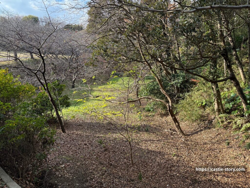 土橋から見た空堀と土塁