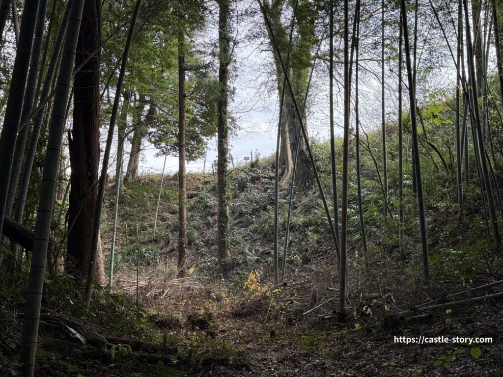 セッテイの空堀1