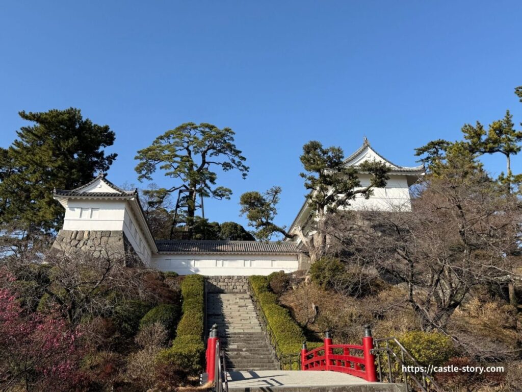 常盤木門と巨松