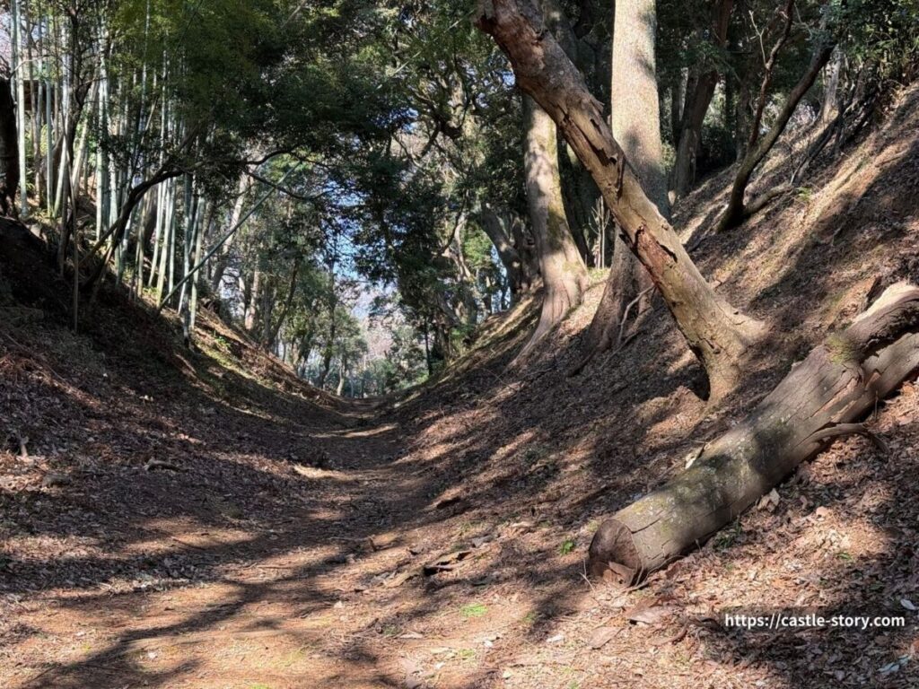小峯御鐘ノ台大堀切東堀