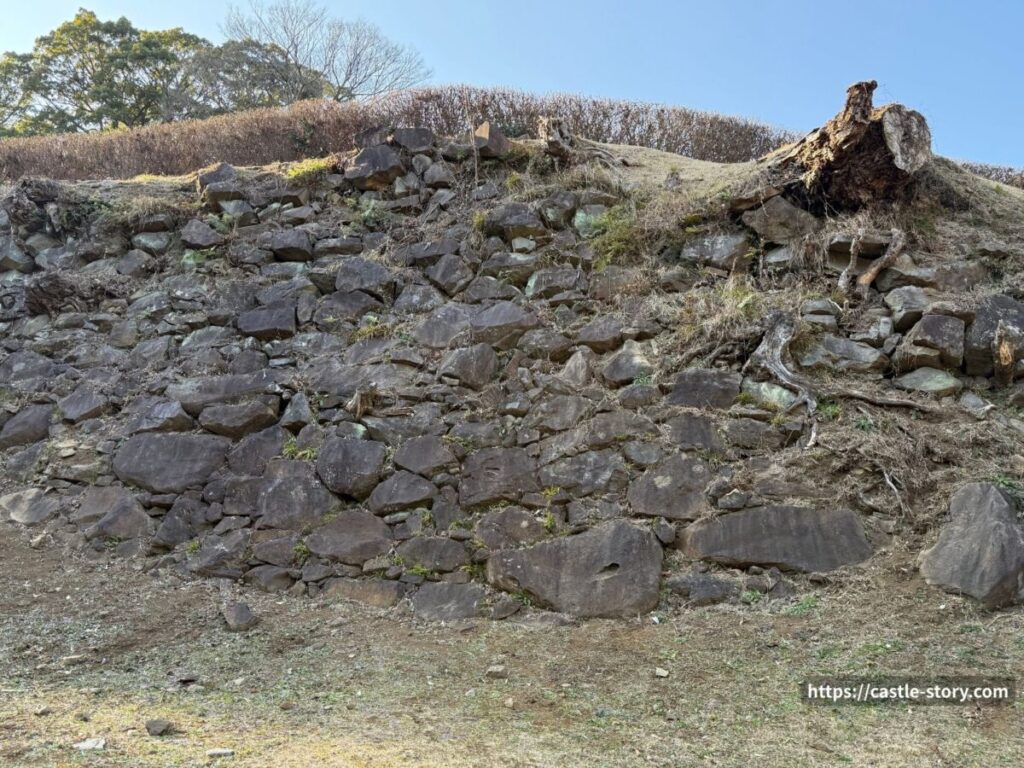 馬屋曲輪の石垣