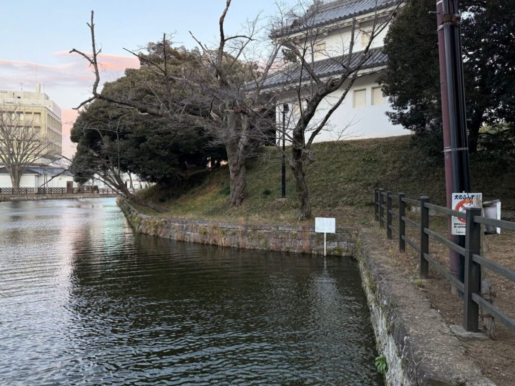 西櫓と折れの土塁