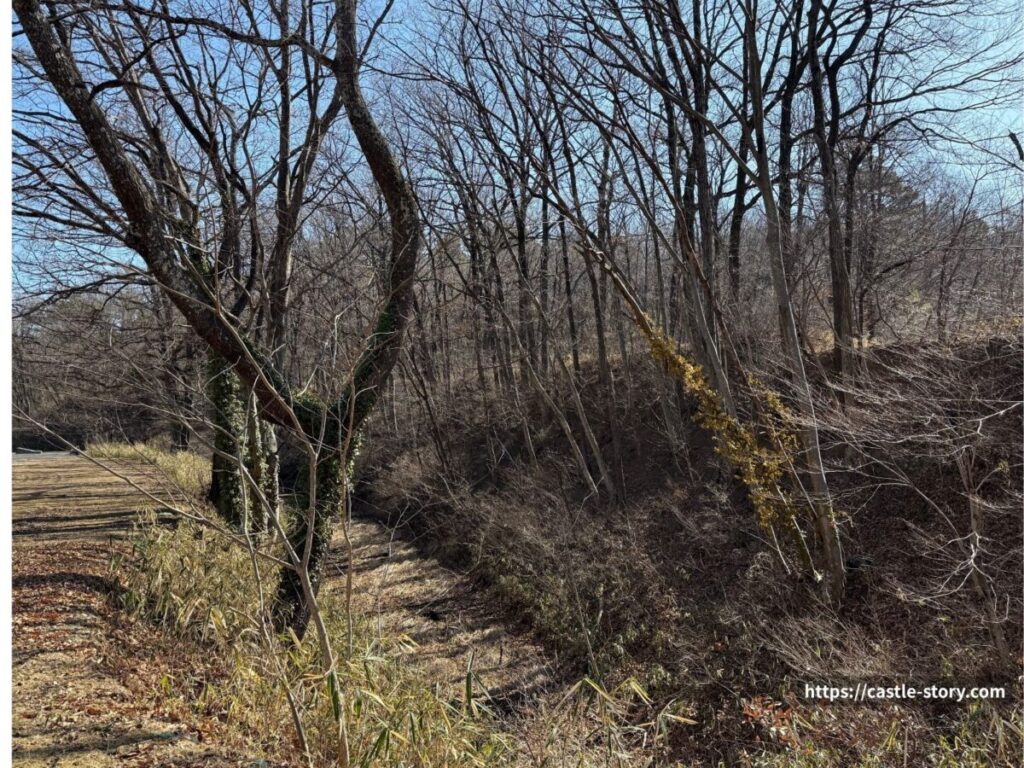 乾門付近の空堀①