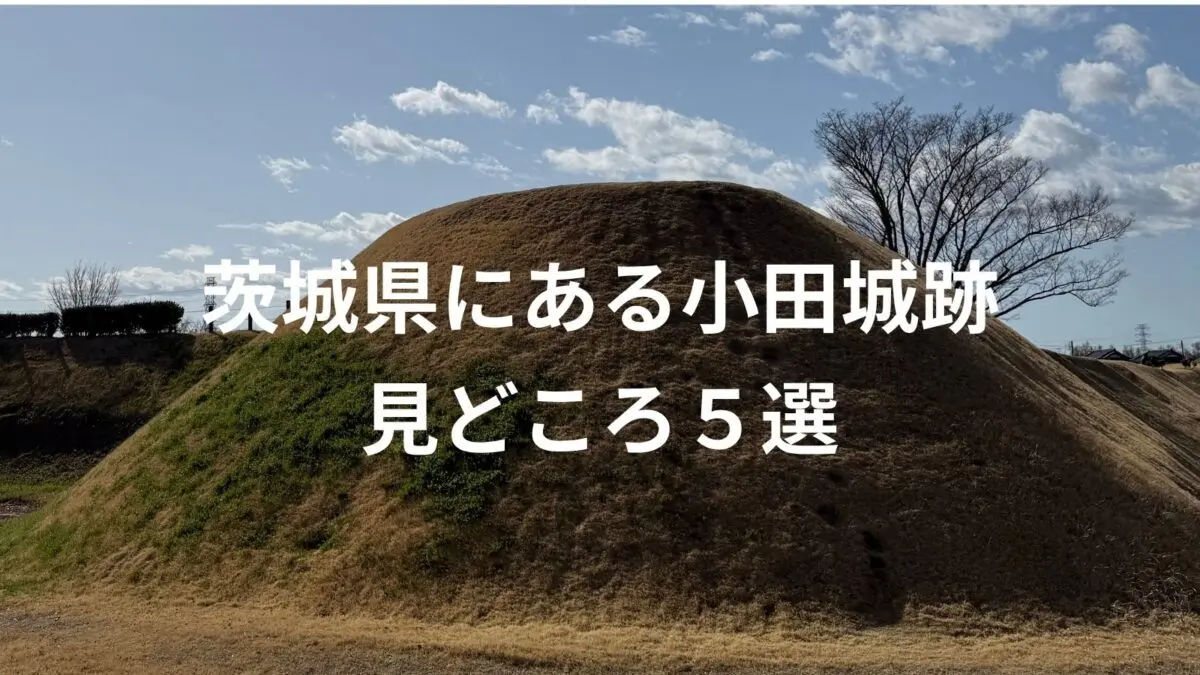 【小田城】“戦国最弱”なんて言わせない!不屈の聖地「小田城跡」の見どころ5選