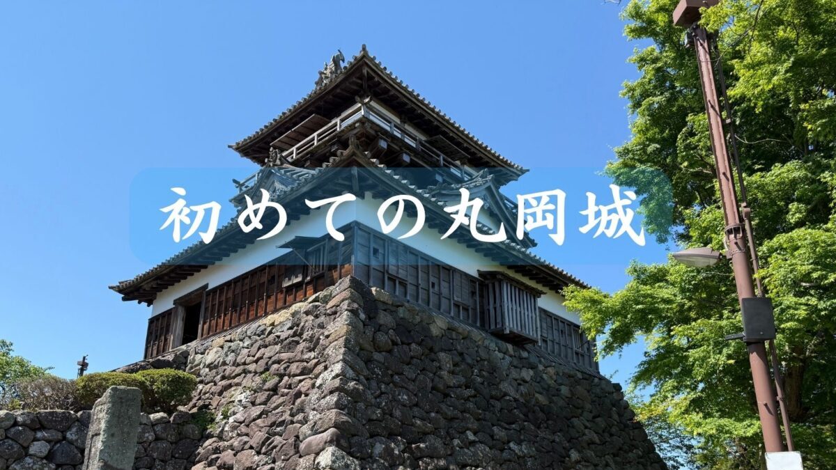 初めての丸岡城