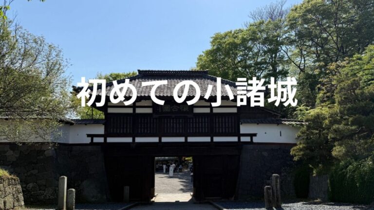 初めての小諸城