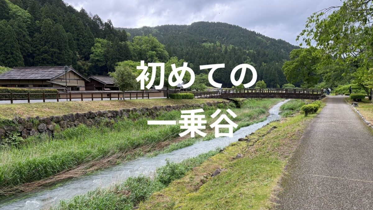 初めての一乗谷