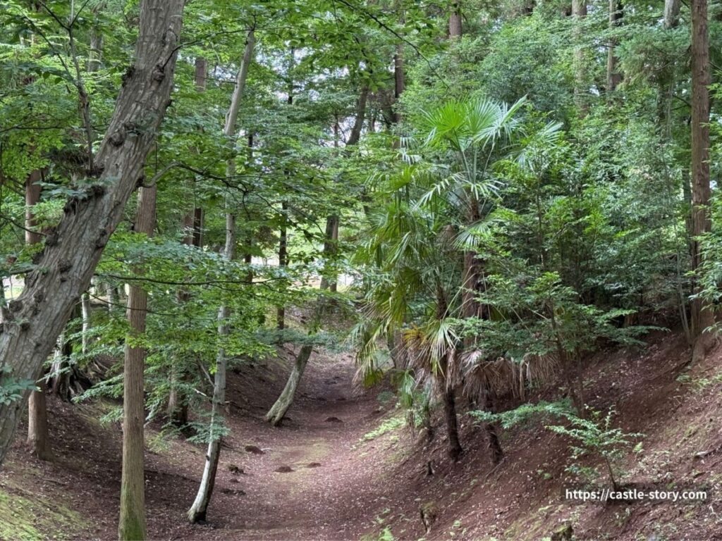 櫓門の橋から見た土塁と空堀
