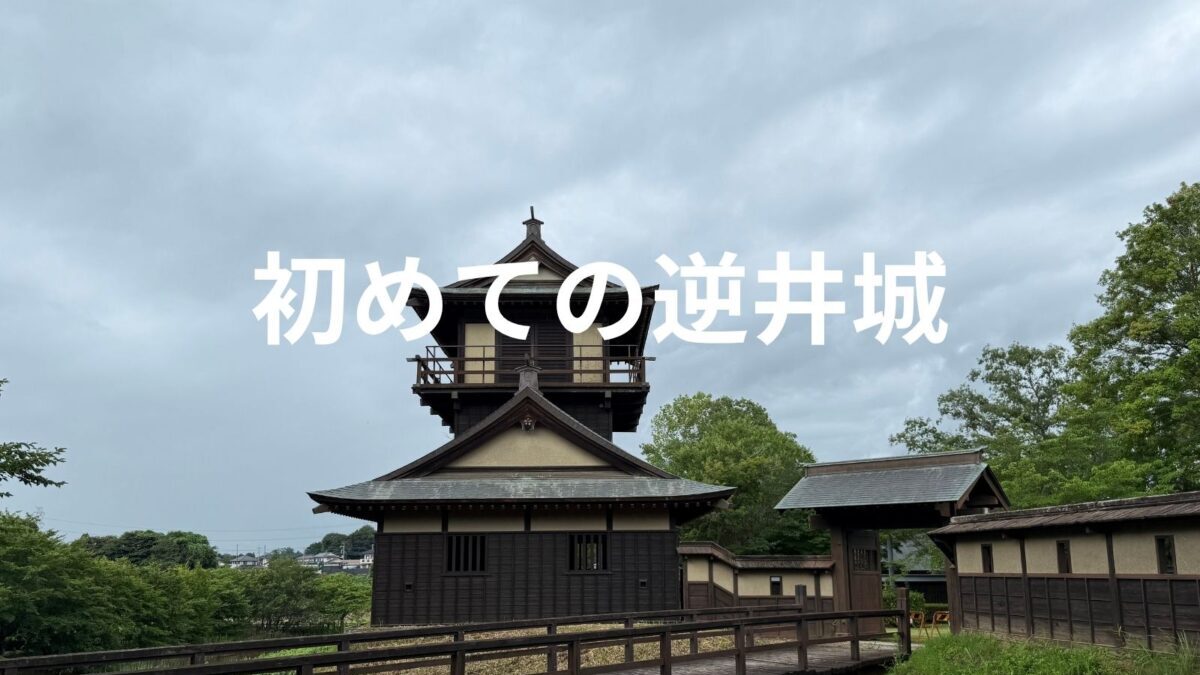 初めての逆井城