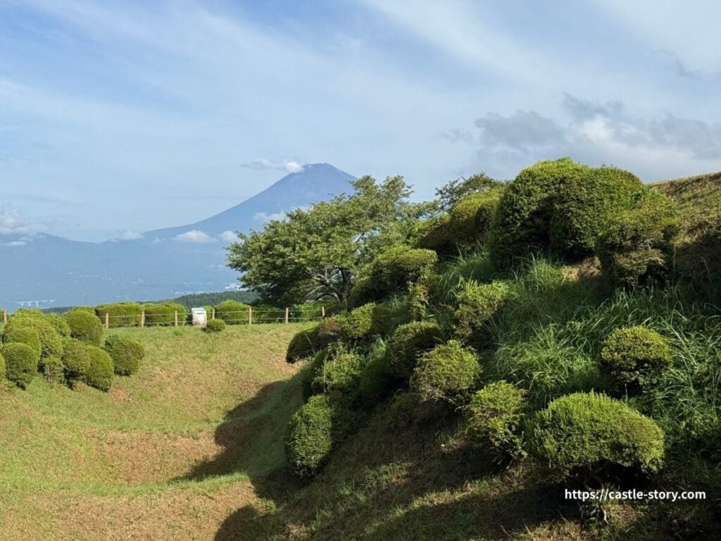 富士山と畝堀