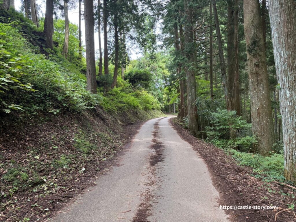 山道