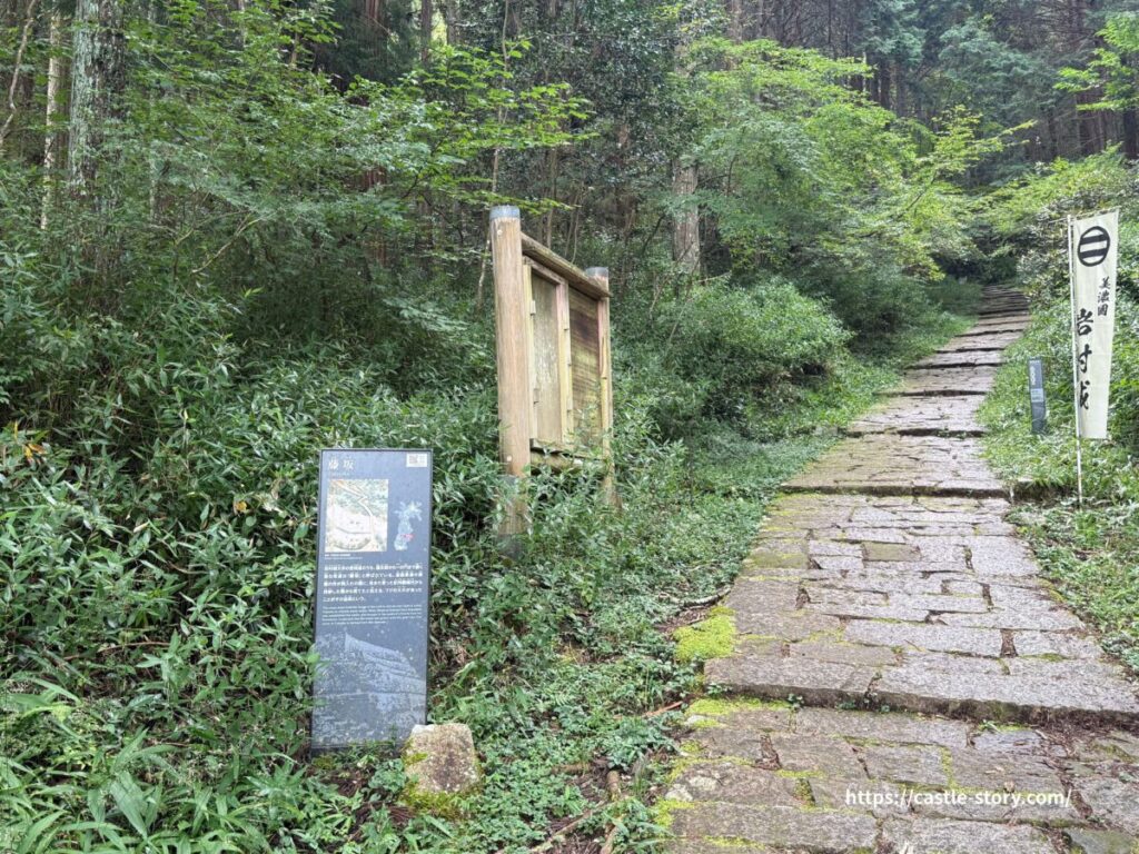 藤坂