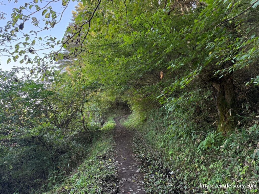 岩櫃山登山口から中城址までの山道①