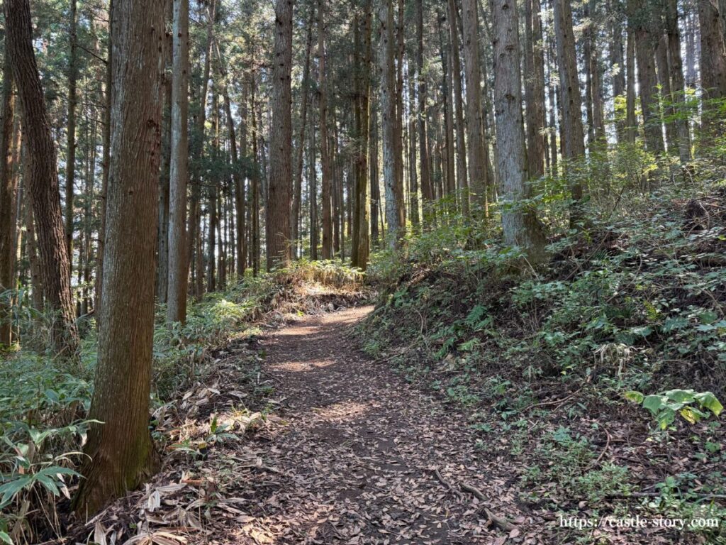 岩櫃山登山口から中城址までの山道②