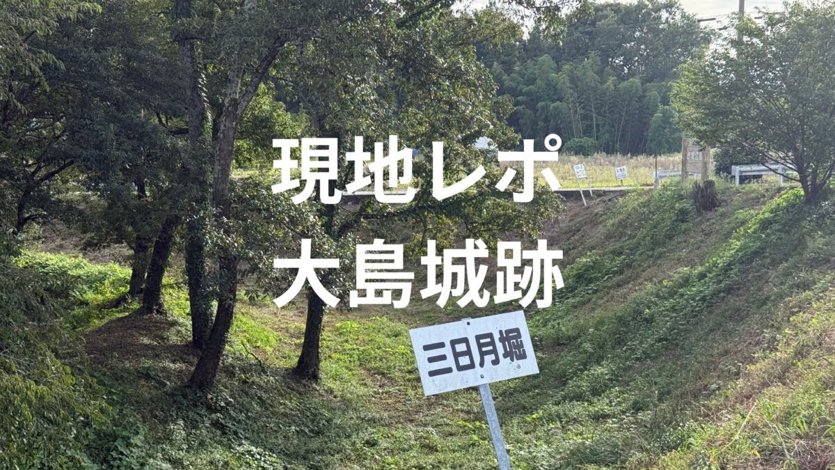 現地レポ大島城